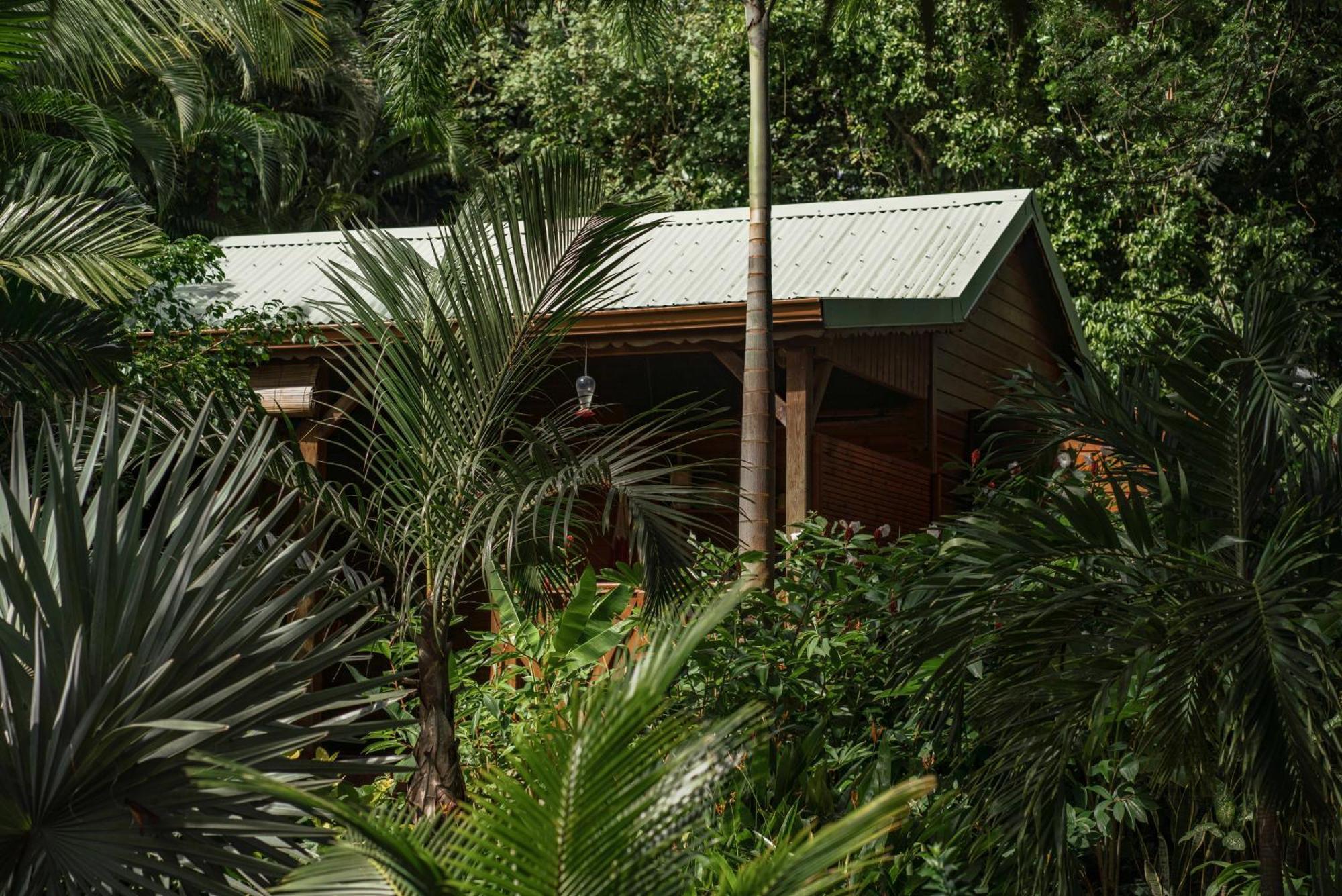 Au Jardin Des Colibris Ecolodge&Spa Deshaies Exterior foto